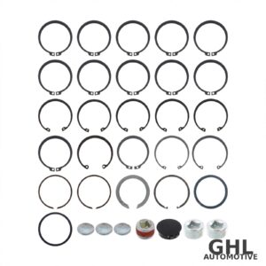 PAI GBK-8956-100 Retaining Ring Kit — Mack T310M Transmission