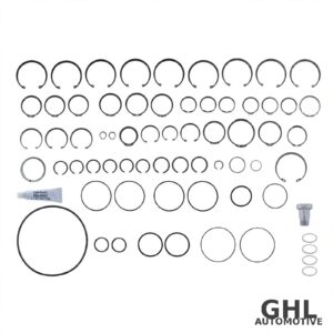PAI GRK-3973 O-Ring/Retaining Ring Transmission Kit OEM 208SH102