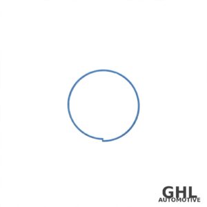 PAI GWR-2914 Wear Ring OEM 89KB21 5-PACK