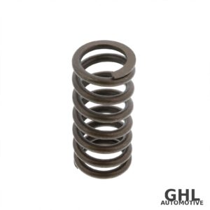 PAI Outer Valve Spring 892000 - Mack MP7/MP8, Volvo D11/D13 - Pack of 6